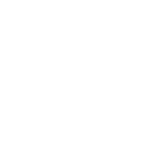Turkish Airlines